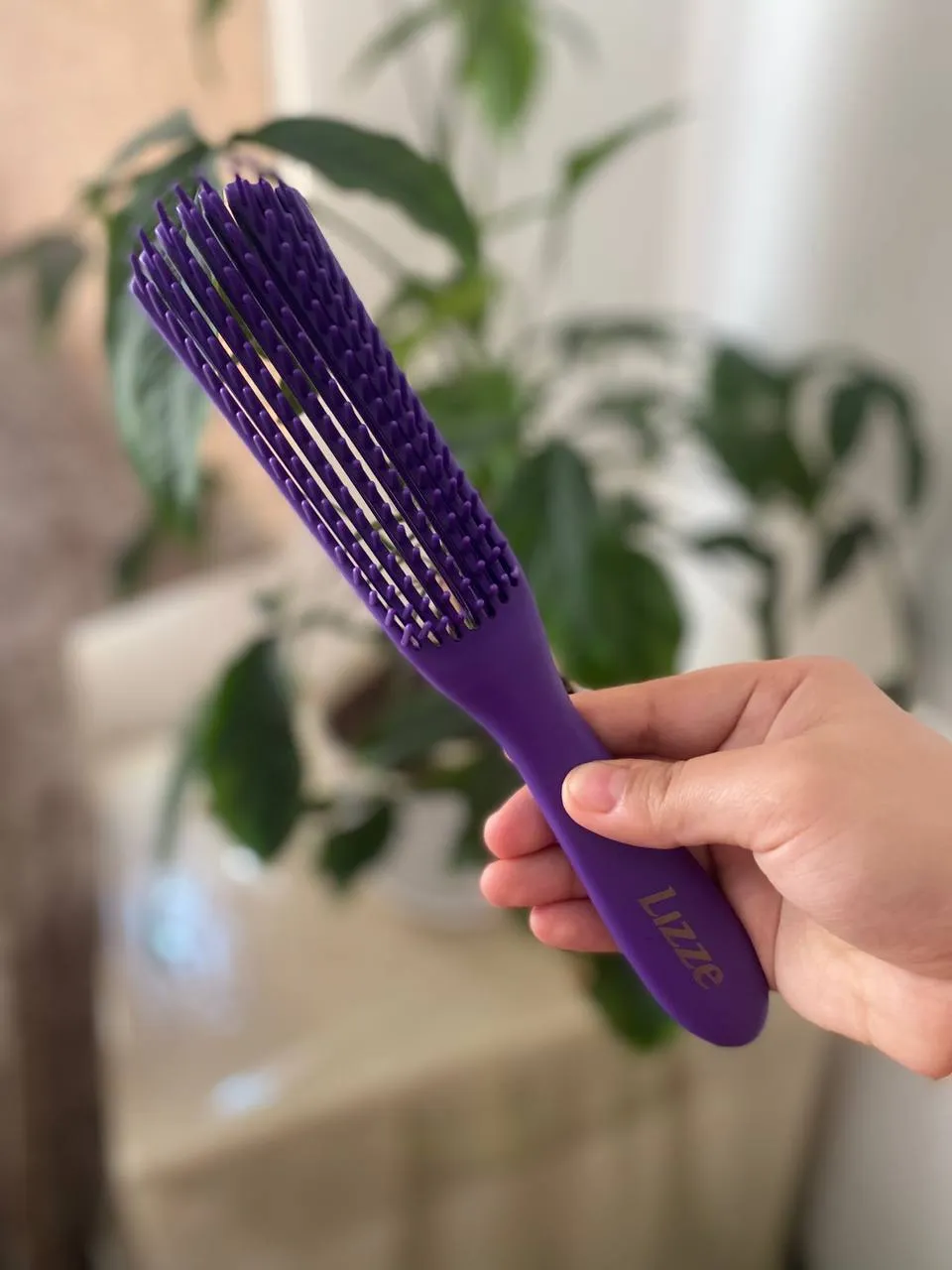 B288d942 Dcd6 402a 9302 0c8ca8f47349